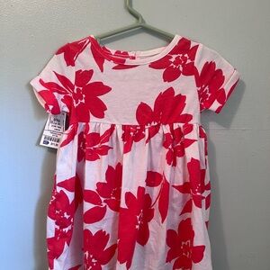 Carter's White and Red Floral Dress